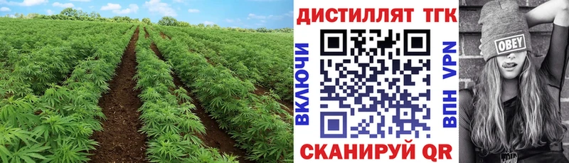 ТГК концентрат  kraken зеркало  Алзамай 