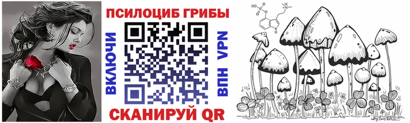 Псилоцибиновые грибы прущие грибы  Алзамай 